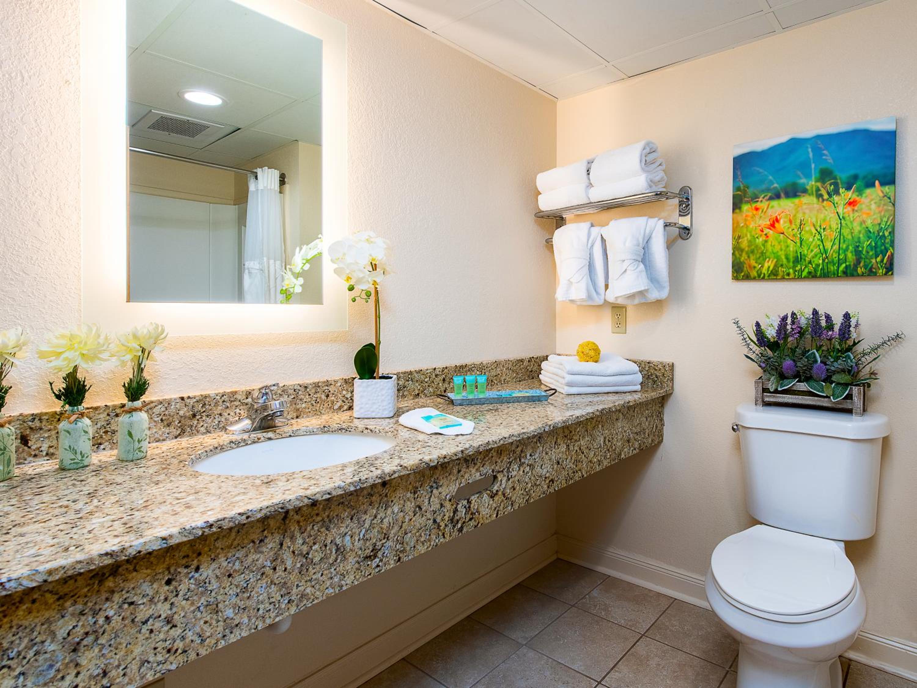 Handlery Hotel San Diego