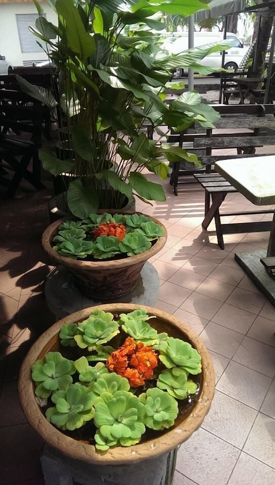 The Orchid Hotel 16/18