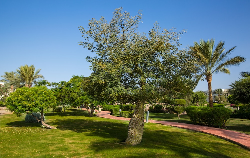 surroundings