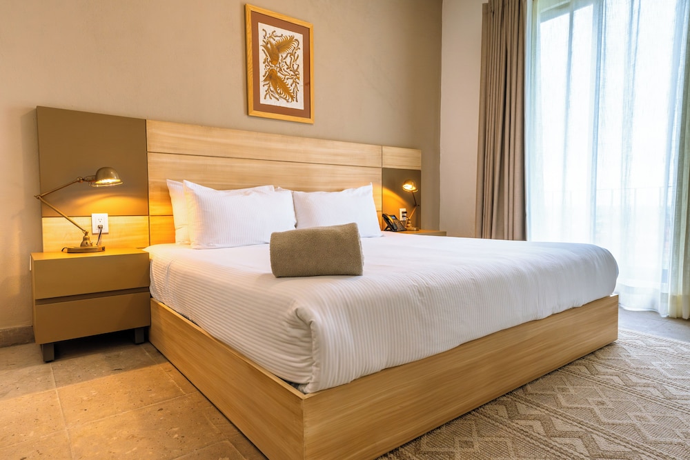 Krystal Grand Residences & Villas San Miguel de Allende 21/58