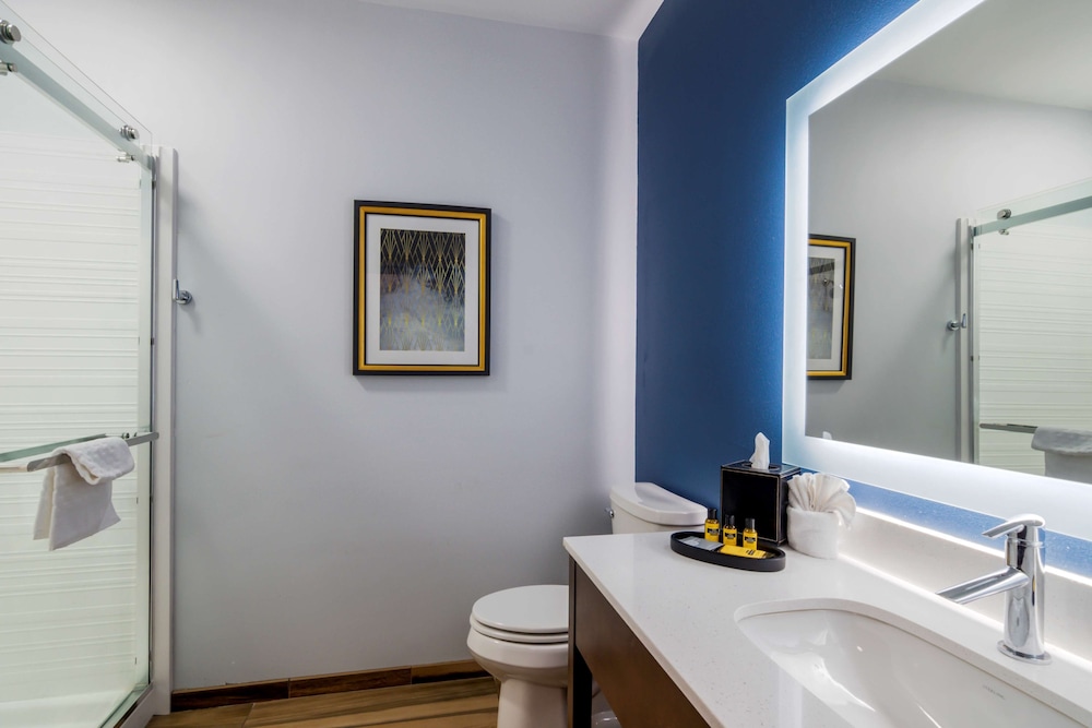 Best Western Plus St Louis Airport Hotelbest Western Plus St Louis Airport Hotel 18/36