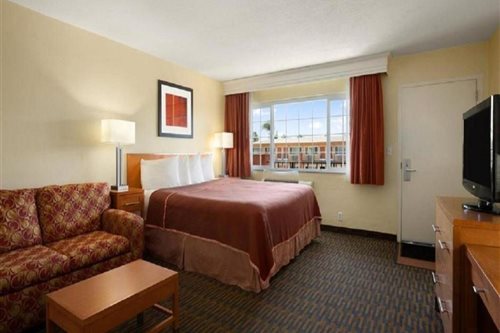 Room, King Bed