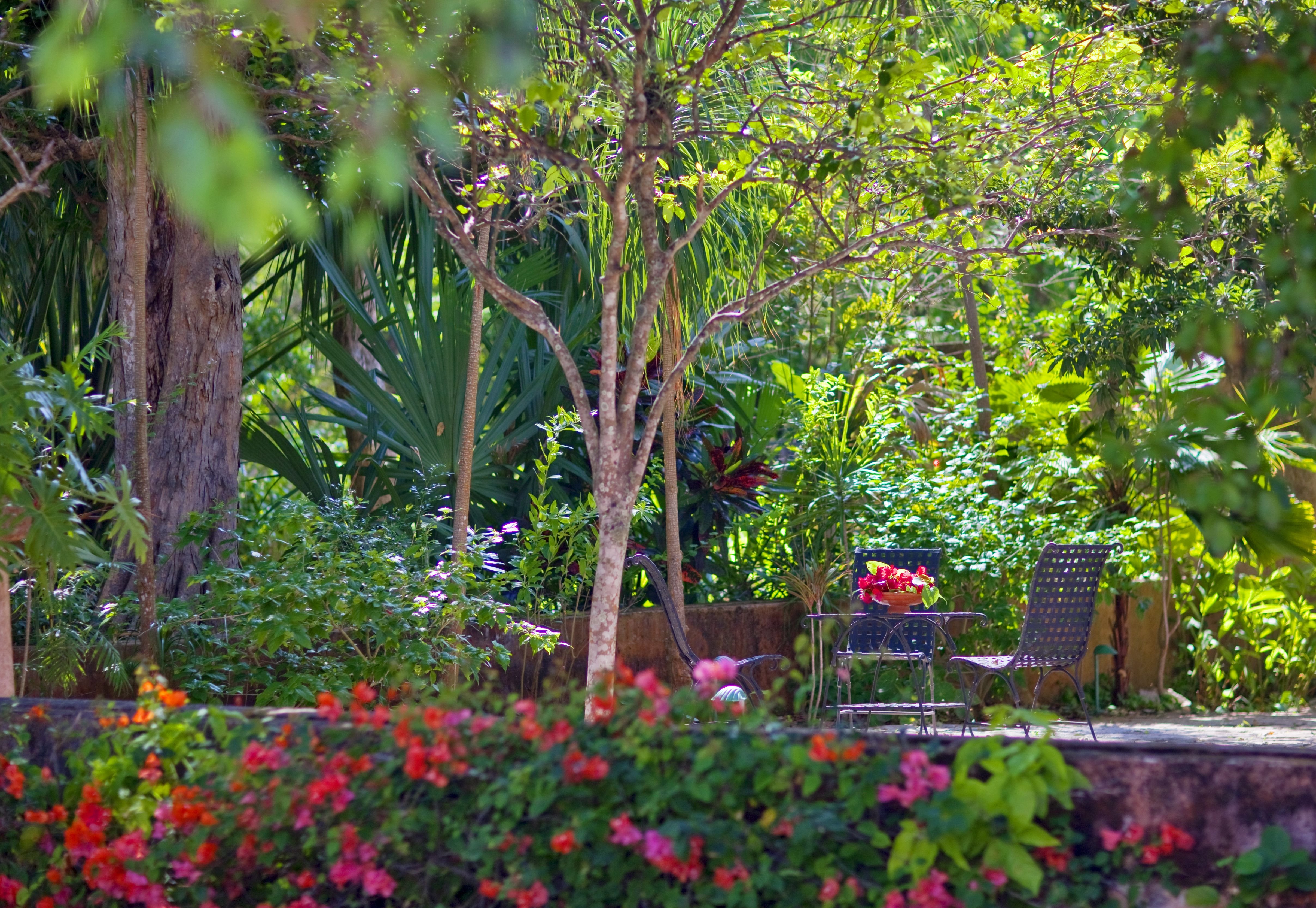 Hacienda Santa Rosa de Lima 28/46