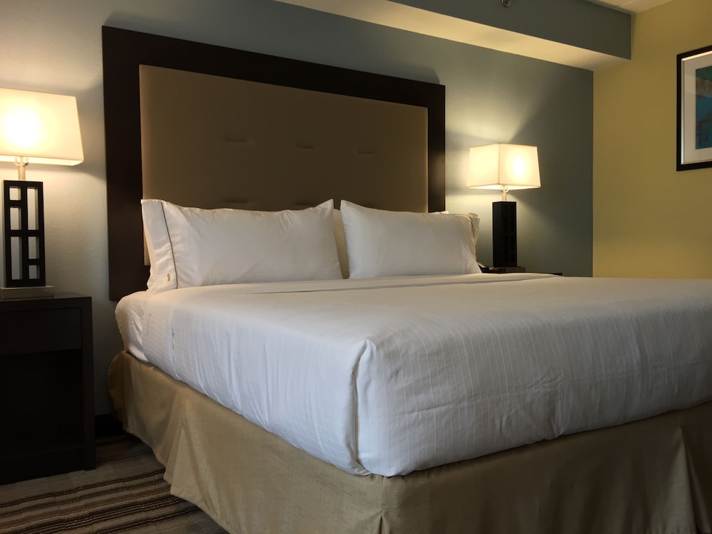 Holiday Inn Express Chicago NW - Arlington Heights, an IHG Hotel 14/54