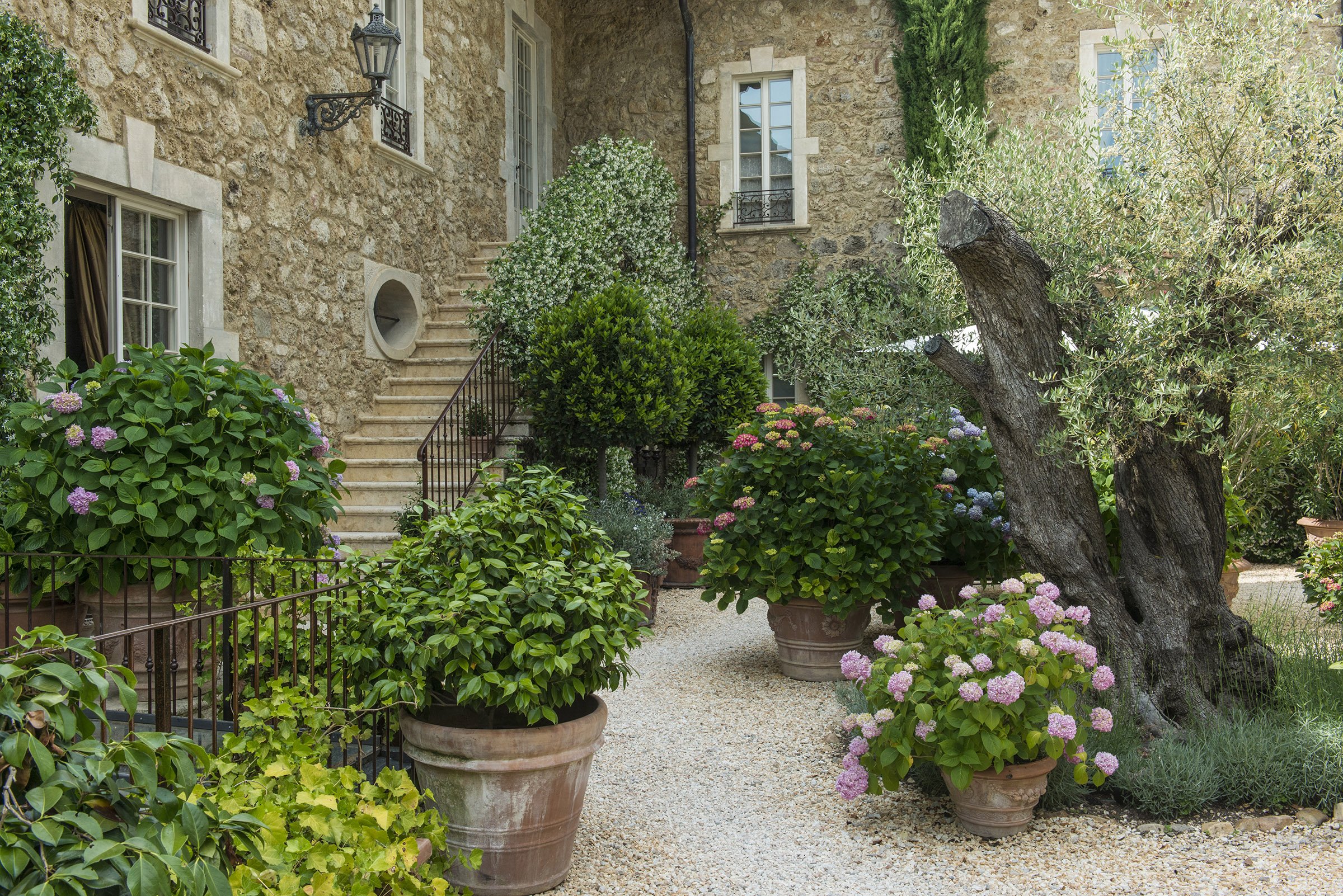 Relais Borgo Santo Pietro 46/50