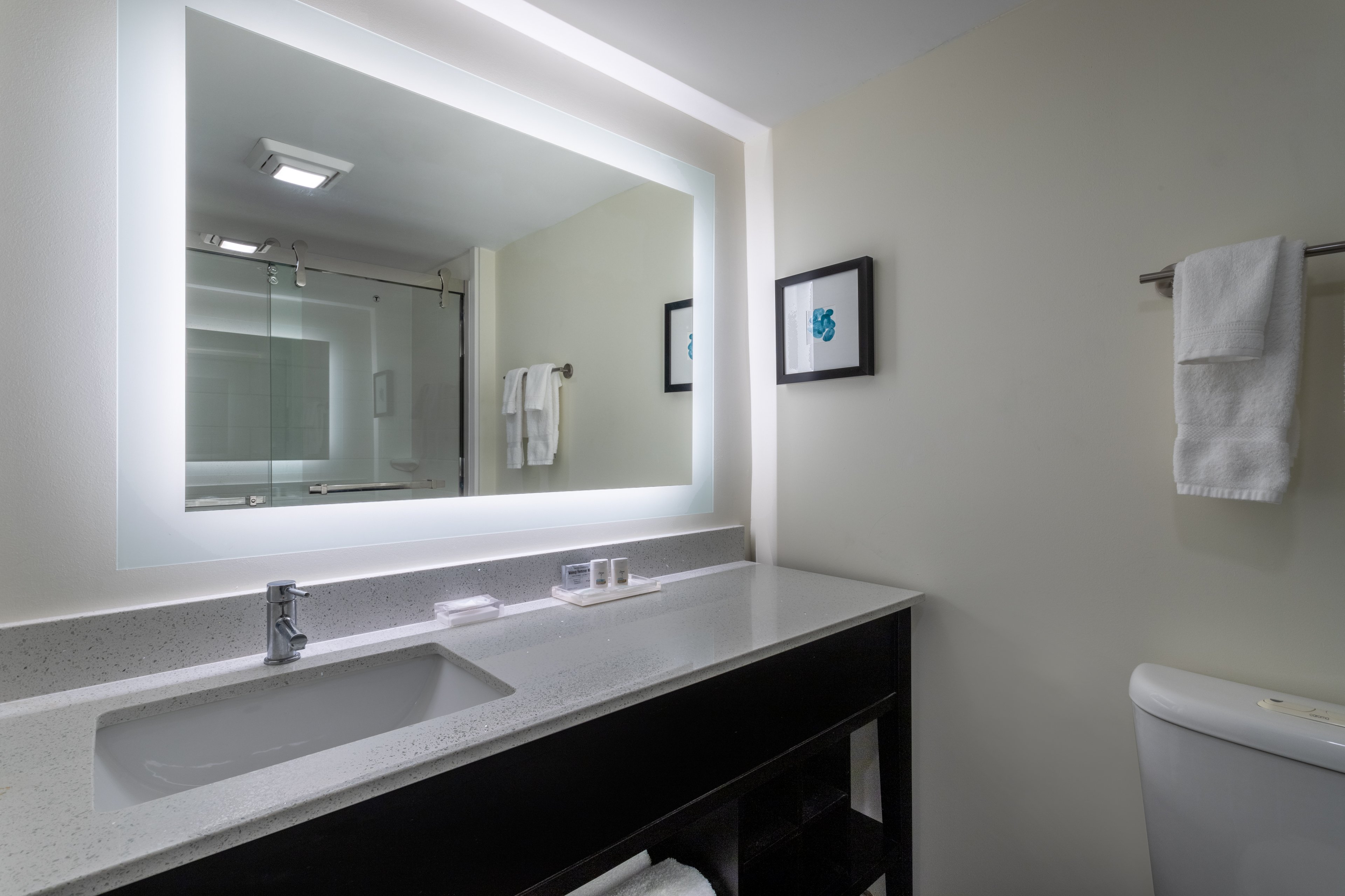 Holiday Inn Tampa North 39/41