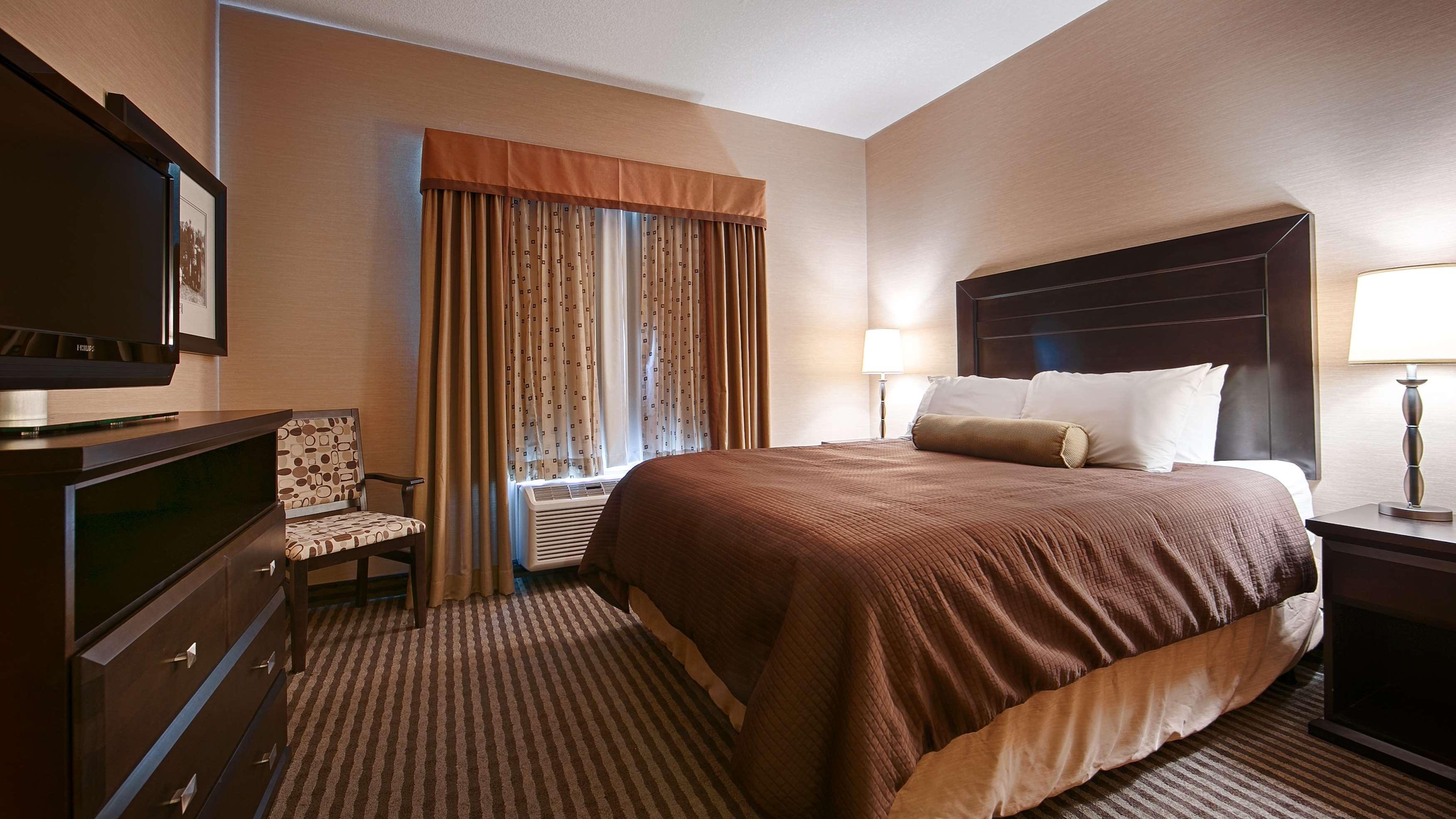 Suite, King Bed