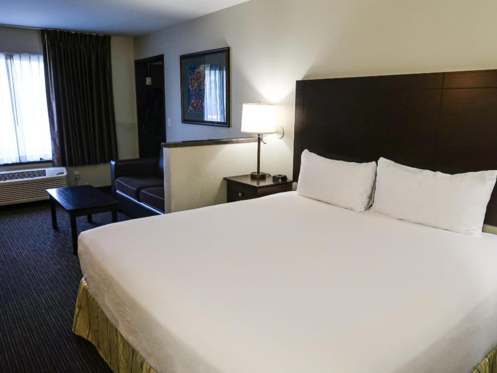 Economy, King Bed