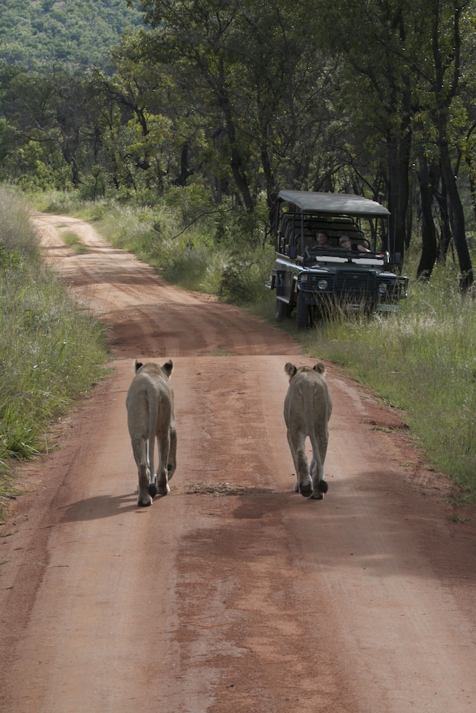 Inzalo Safari Lodge 30/45