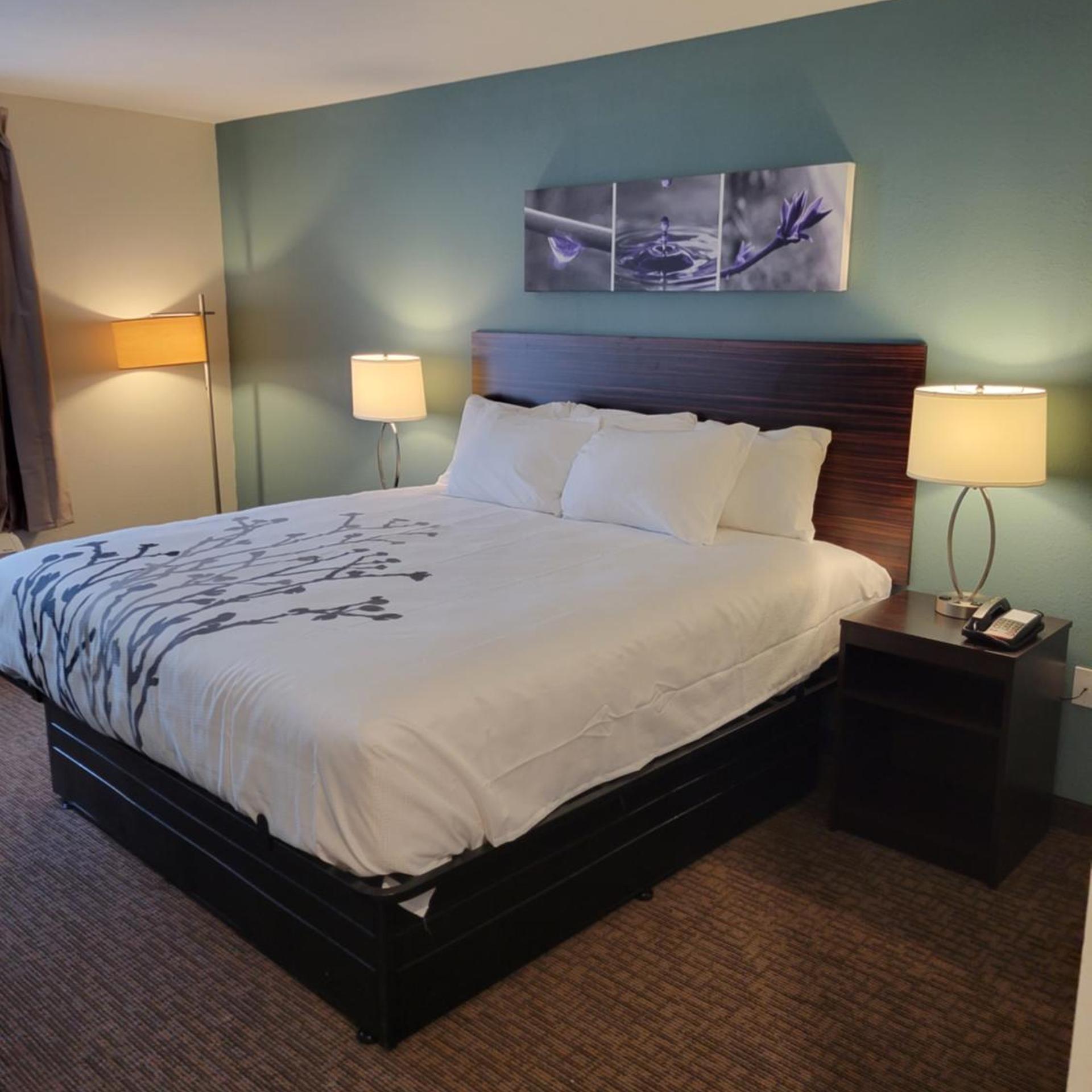 Sleep Inn and Suites Coliseum Area 10/22