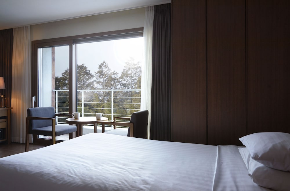 Jeju Aerospace Hotel 12/39