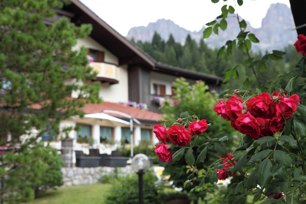 Park Hotel Arnica 50/50