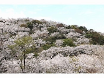 Hotel Nichinan Kitago Resort 4/37