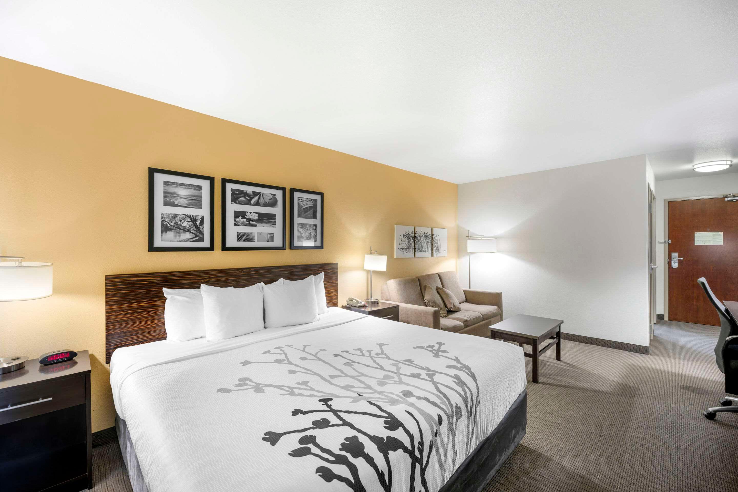 Suite, King Bed, Accessible