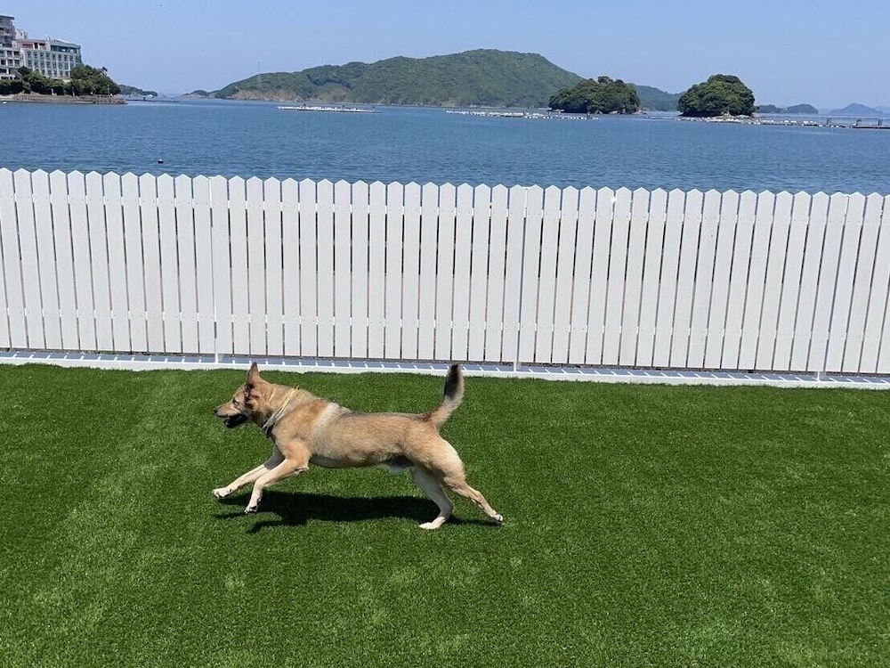 Izumigo Toba Dog Paradise Hotel 55/58