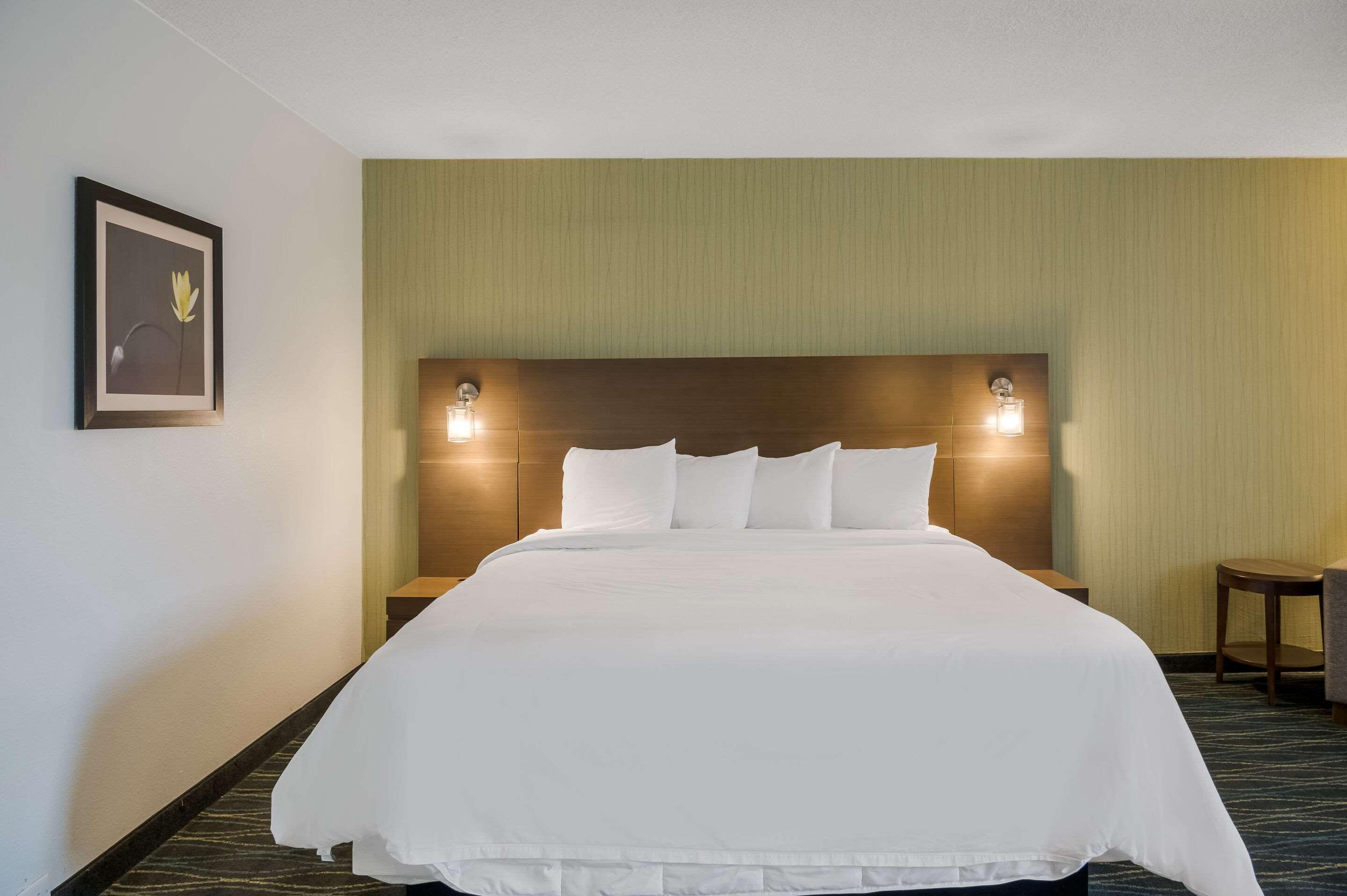 SUITE, KING BED