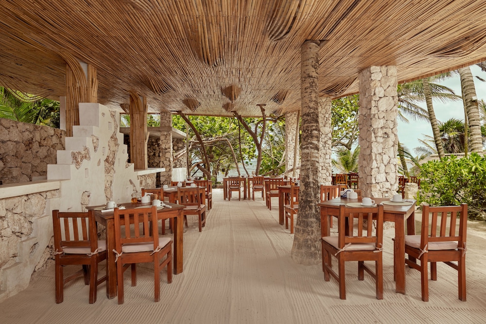 Hotel Dos Ceibas Eco Retreat Tulum 36/50