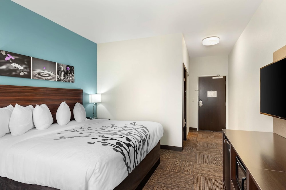 Room, King Bed, Accessible