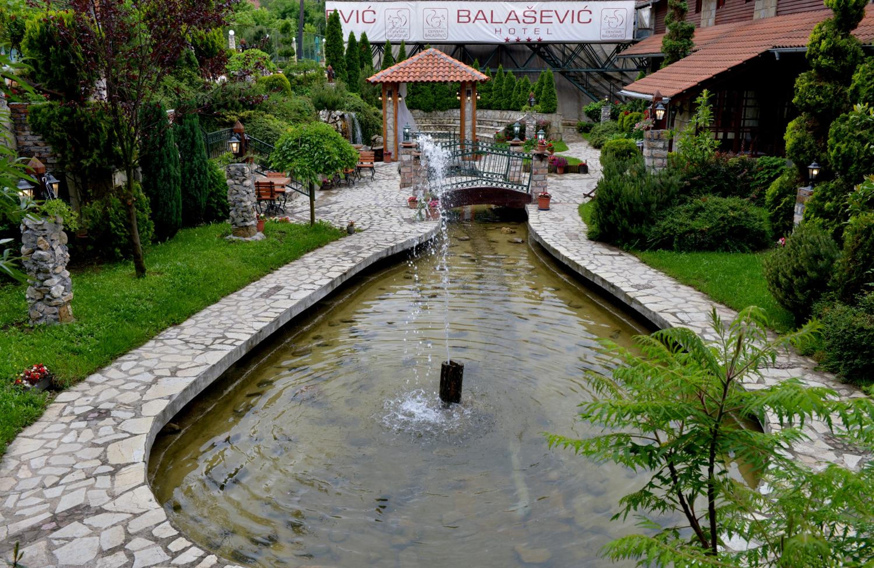 Centar Balasevic 50/54