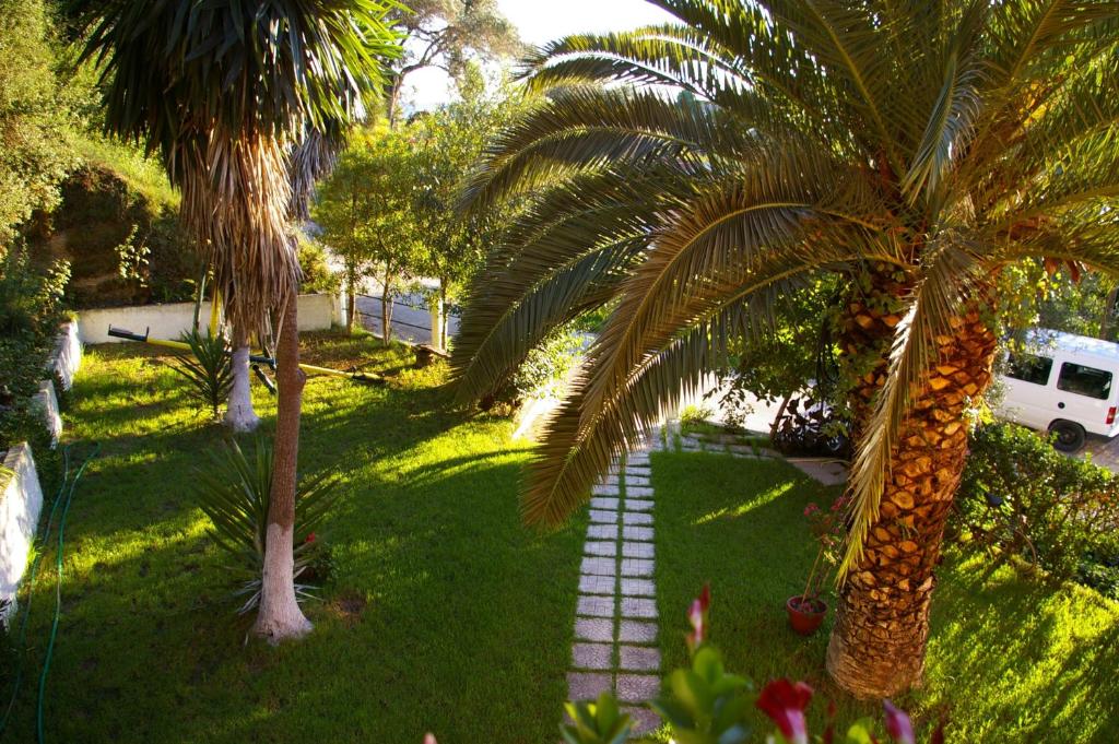 Angeliki Apartments 17/20