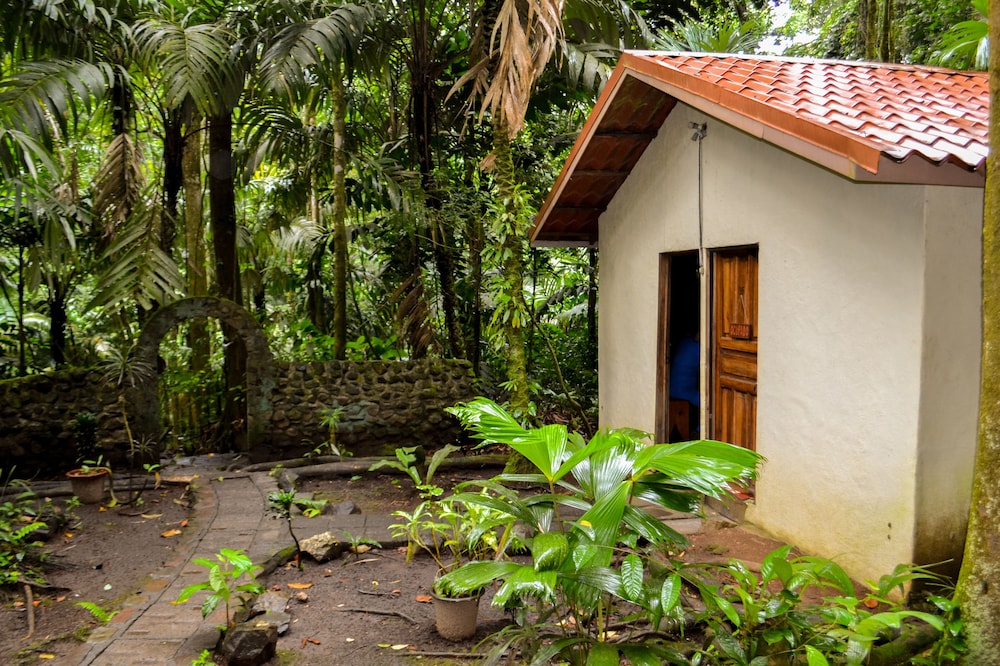 Termales del Bosque and Hot Springs 42/50