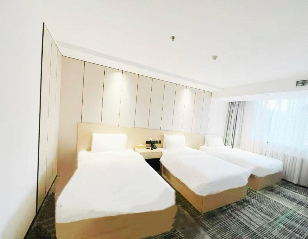 Starway Hotel (Beijing New China International Exhibition Center Airport Industrial Park) 30/48
