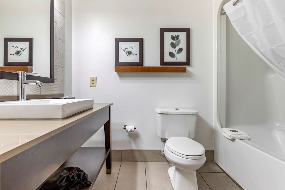 Country Inn & Suites By Radisson Lumberton Nc 14/34