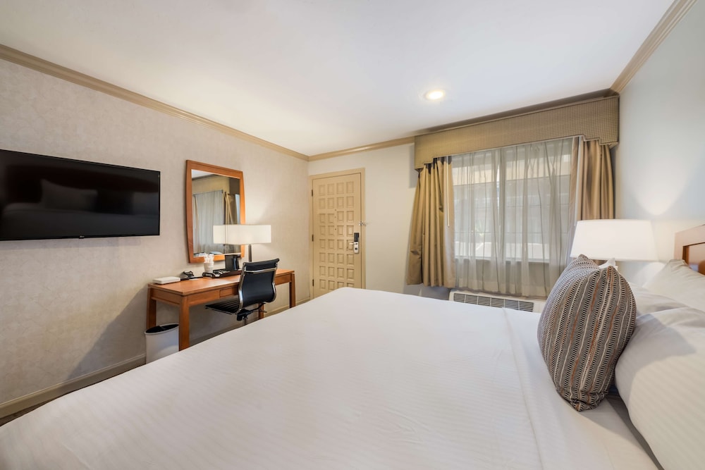 Standard, King Bed, Accessible
