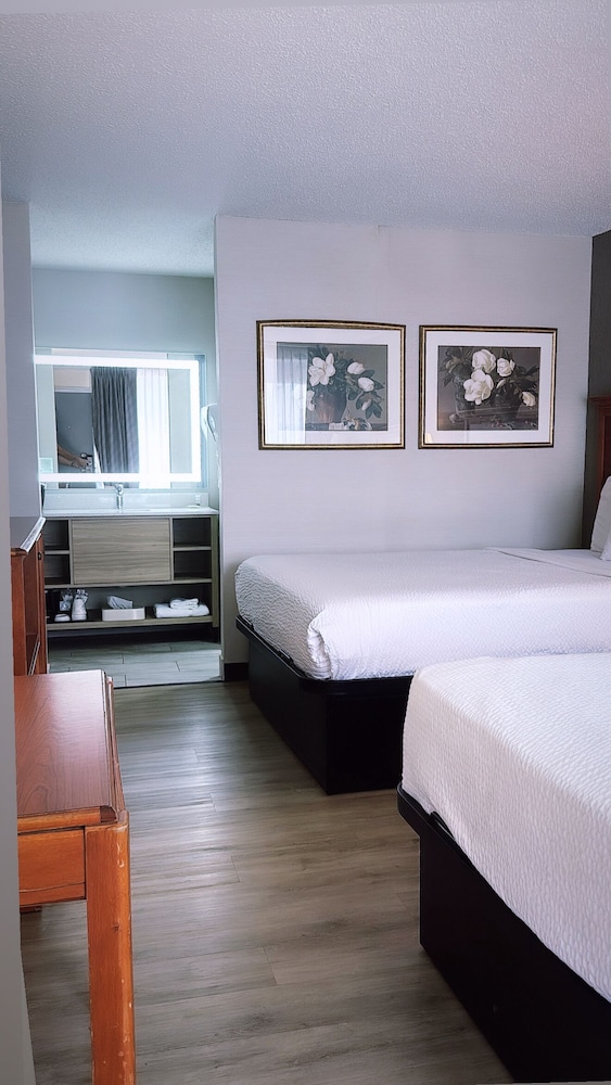 Room, 2 Queen Beds