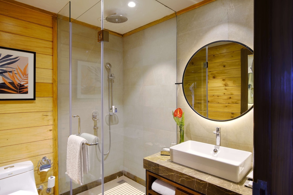 Radisson Blu Resort Dharamshala 34/79