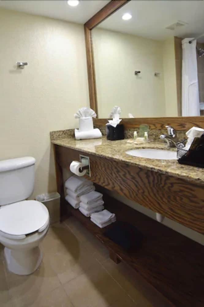 Holiday Inn Fort Myers - Downtown Area an IHG Hotel (ex. The Edison at Midtown) 57/58