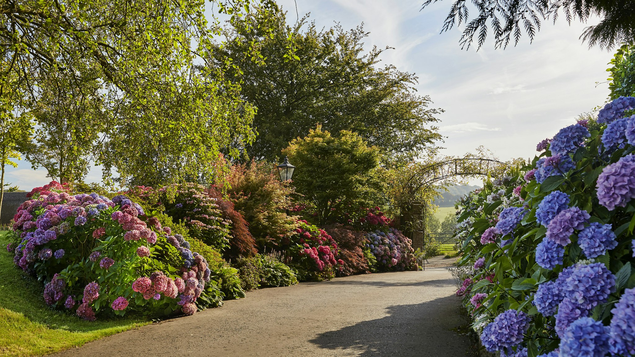 Summer Lodge Country House Hotel 31/36