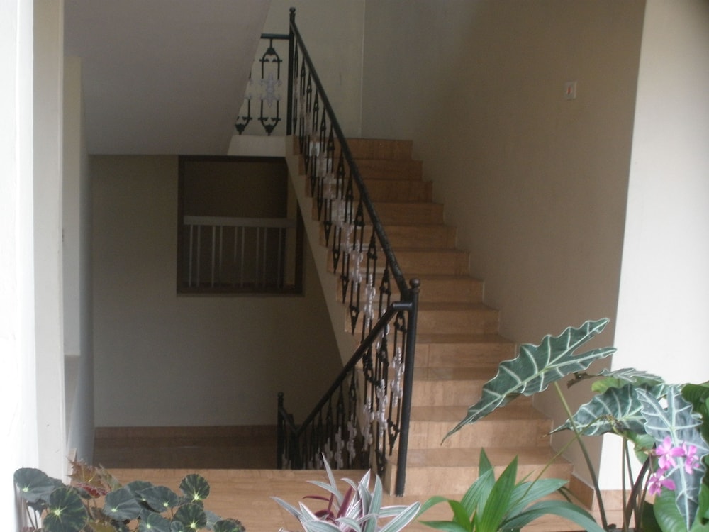 JUNGLE PALACE HOMESTAY 30/46