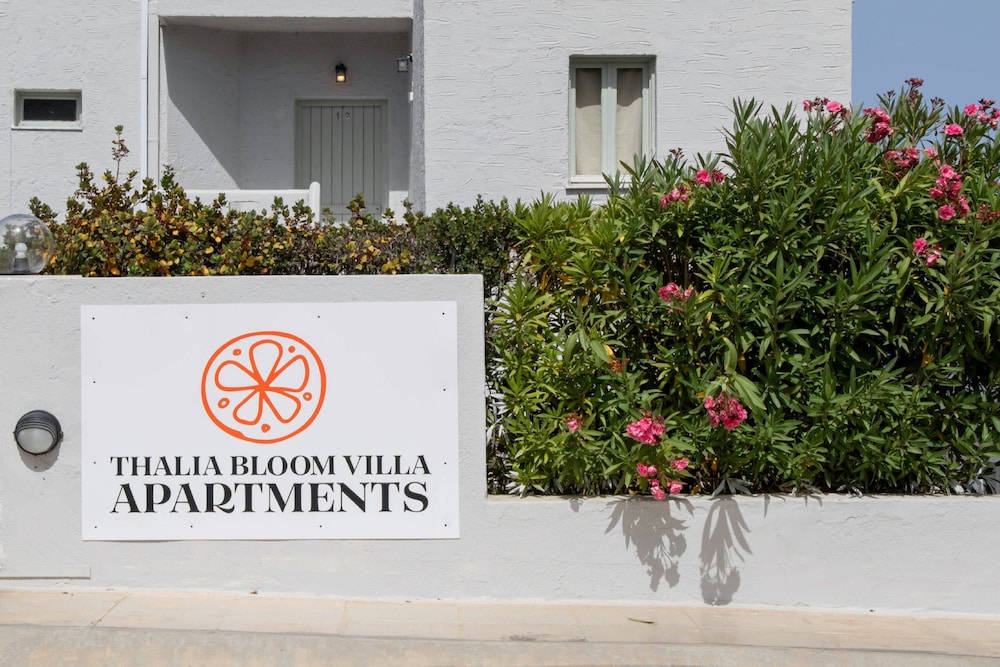 Thalia Bloom Apartments 10/62