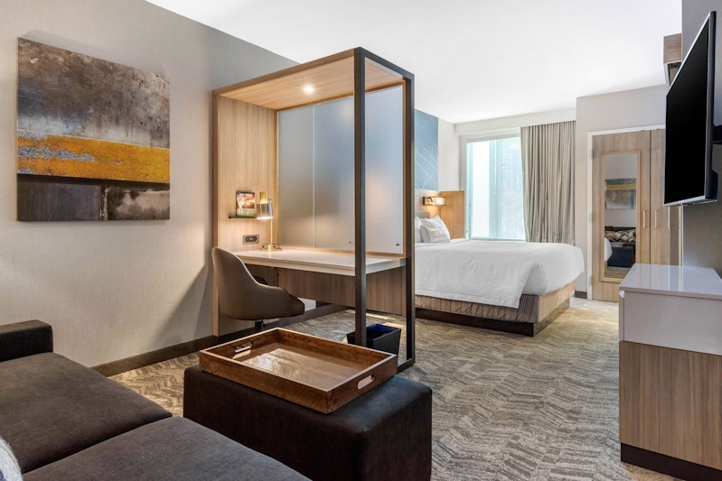 Springhill Suites By Marriott Charlotte Southwest 13/49