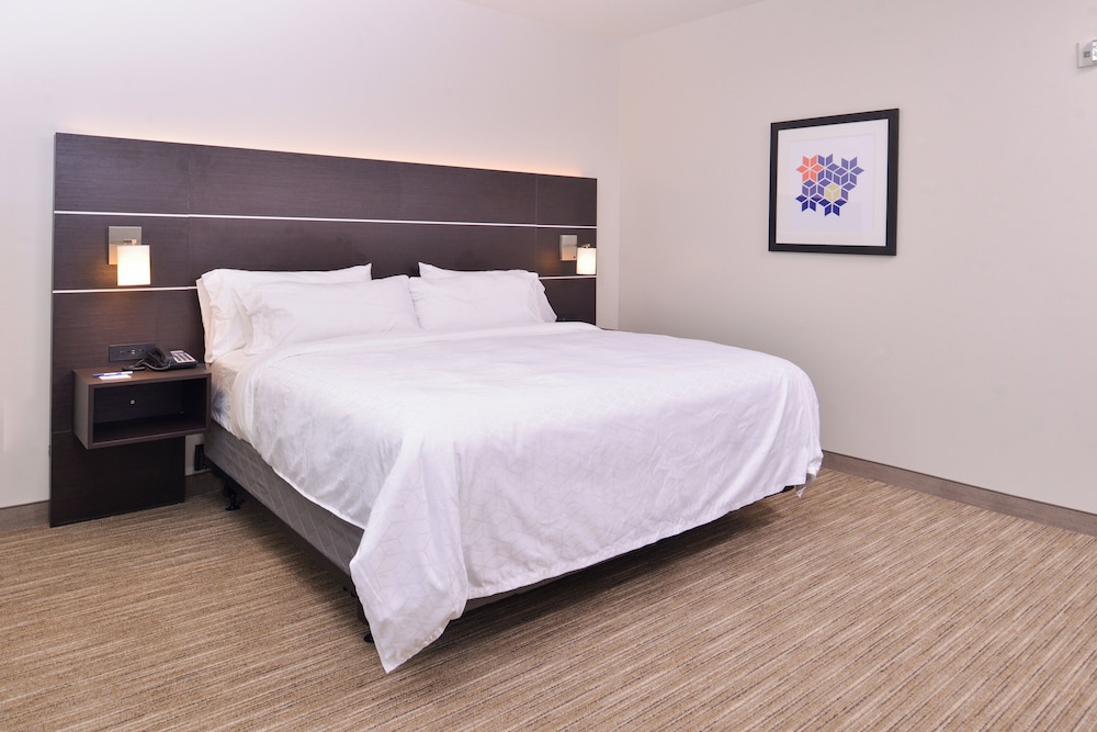 غرفة قياسية بسرير كينج، Holiday Inn Express and Suites - Mall of America - MSP Airport 3/7