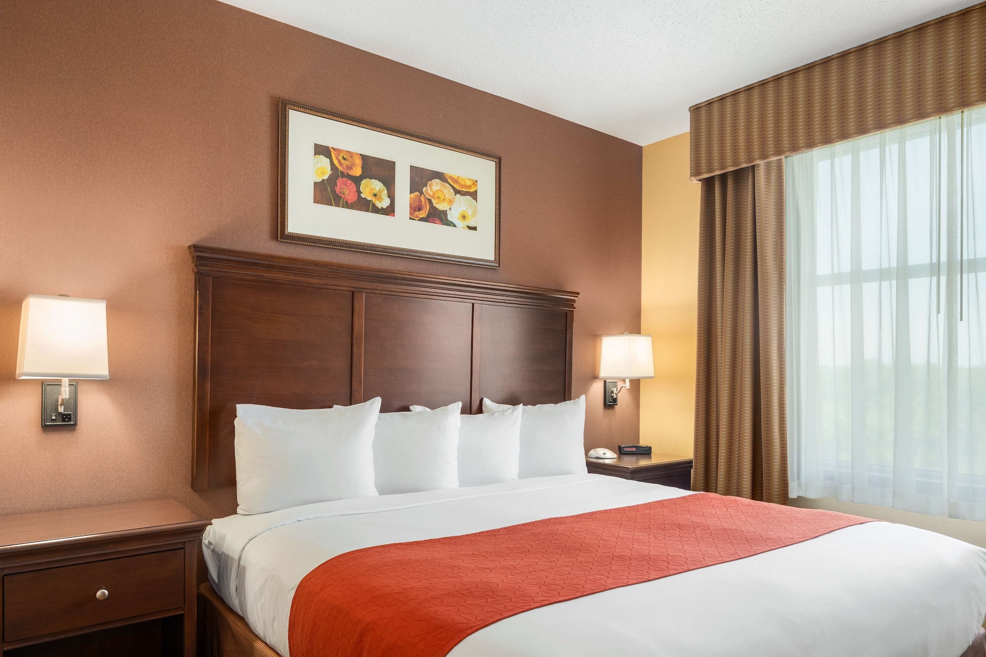 Room, Queen Bed, Accessible