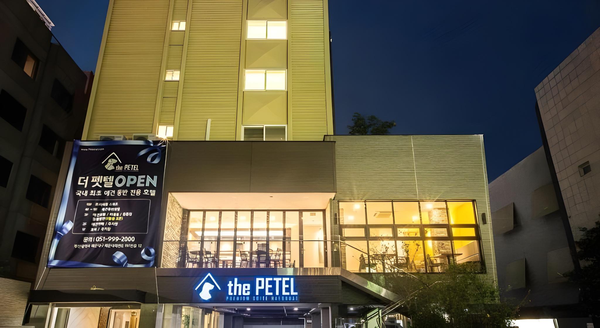 The Petel Premium Suite(with Pet only) 5/33