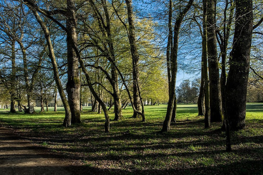 CHATEAU DE BRIOTTIERES 28/48