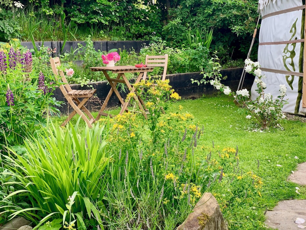 Wester Auchraw Croft B&B 42/50