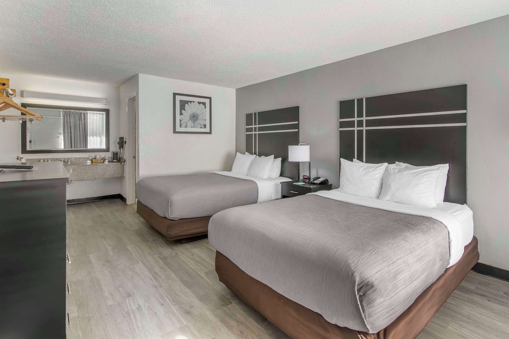 Suite, 2 Queen Beds, Sofa