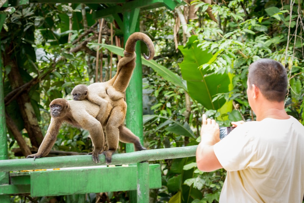 Amazon Ecopark Jungle Lodge 46/50