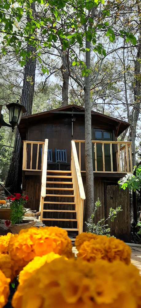 Altaris Bungalows Olympos 2/19