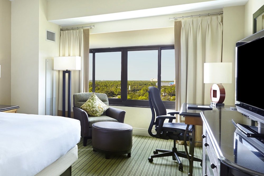 Hilton Orlando Lake Buena Vista - Disney Springs Area 23/62