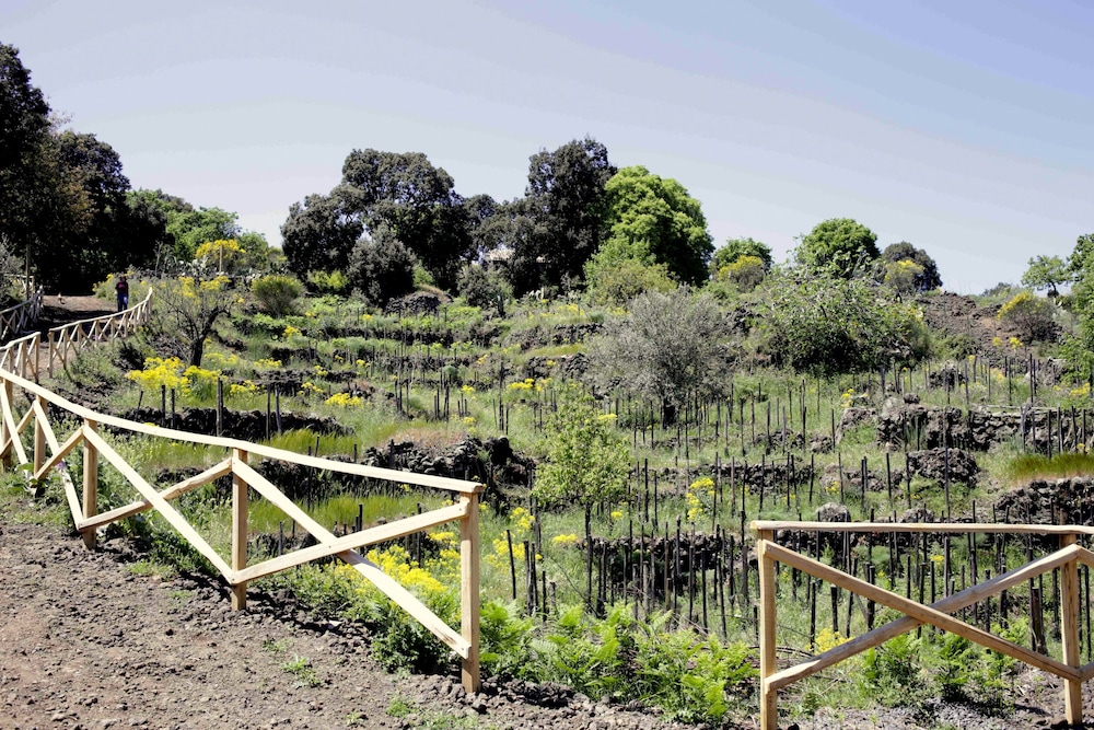 Etnella Enoagriturismo Notti Stellate 23/50