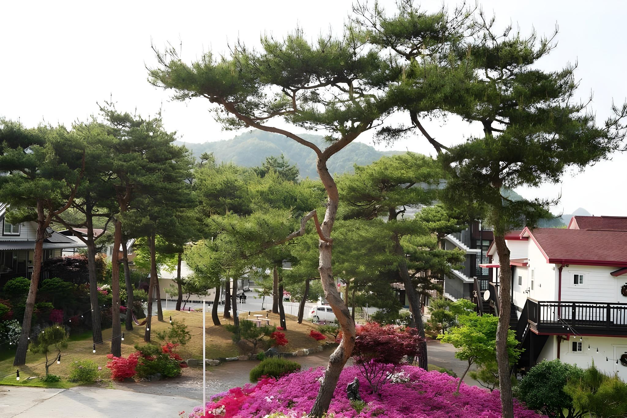 Yangpyeong In & In Pension 20/20
