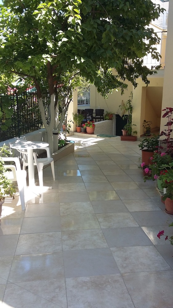 Elena's Garden 23/41