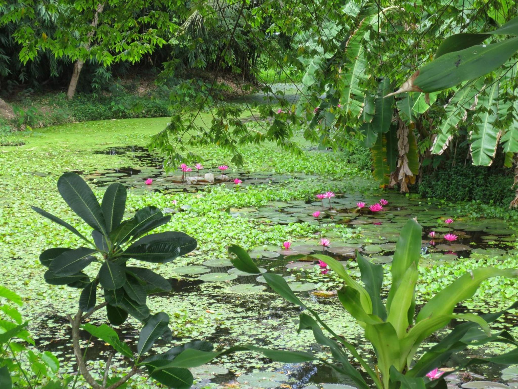 Baan Ton Nam Resort 57/61