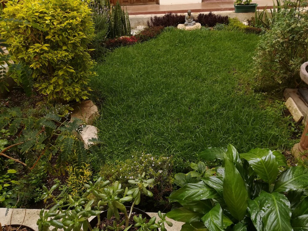 Ganesha 5 De Mayo 46/50