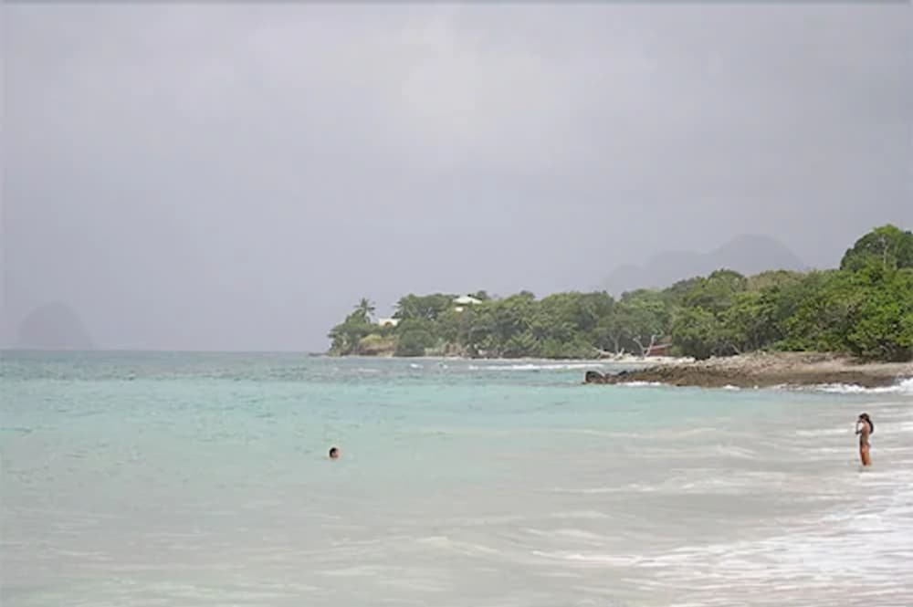 Le Paradis De L Anse 24/30